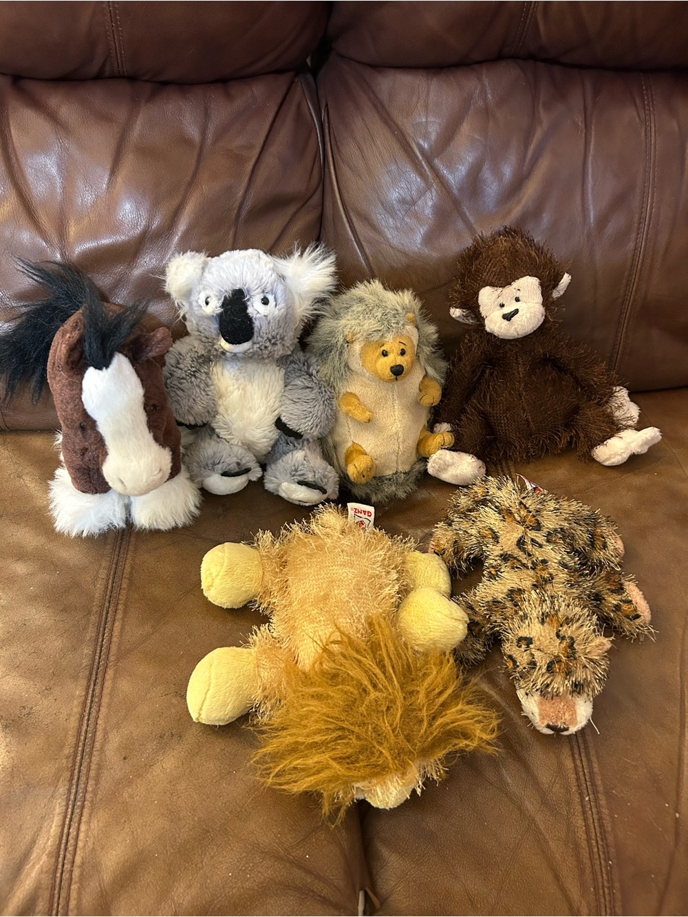 6 Ganz Webkinz